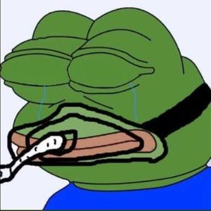 Meet your Posher, Gonzalo